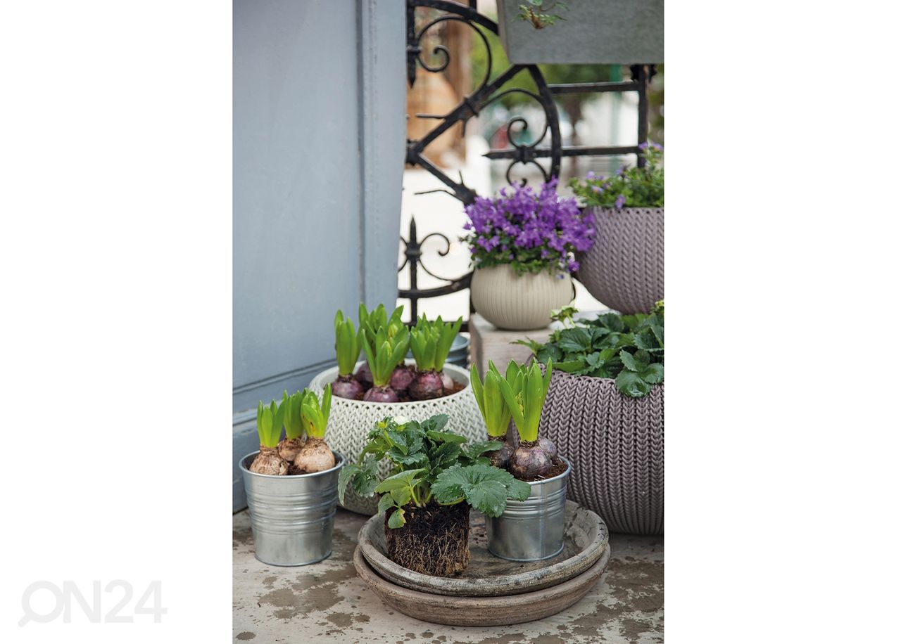 Ampel Keter Cozies väike, beež Ø28 x h18 cm suurendatud