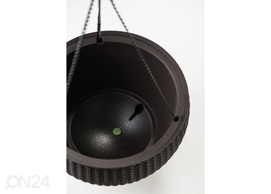 Ampel Keter Sphere M suurendatud