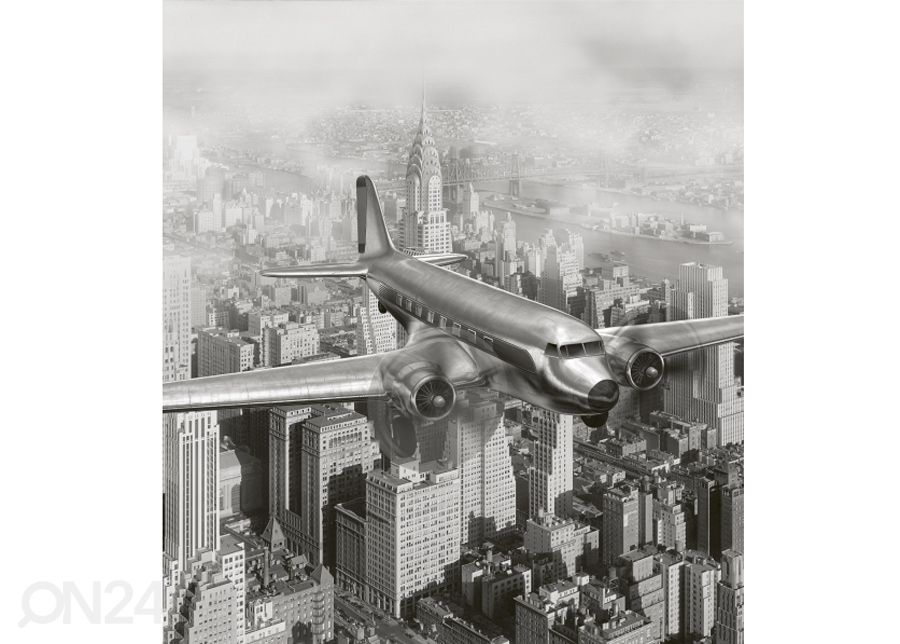 Fliis fototapeet Airplane 225x250 cm suurendatud