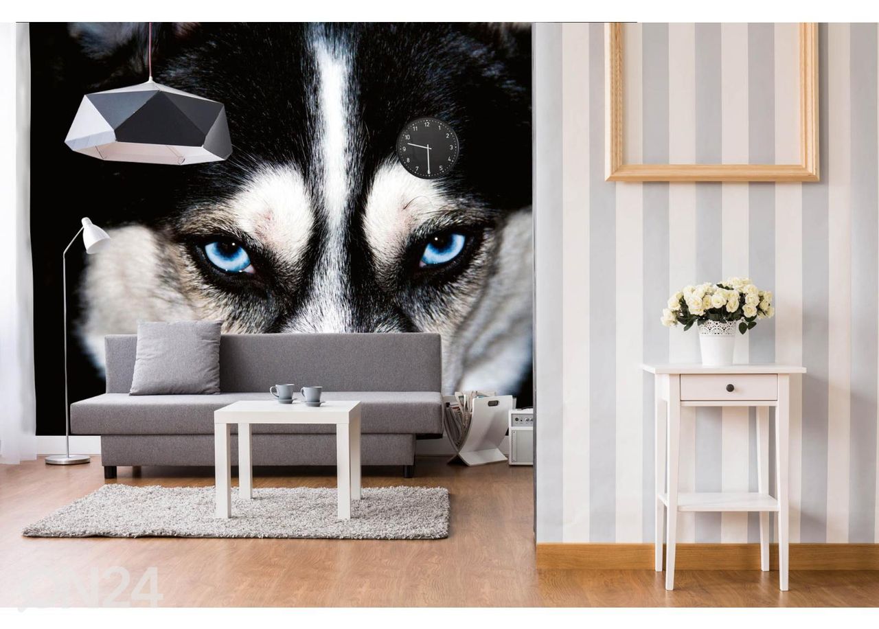 Fliis fototapeet Blue Eyes Husky suurendatud