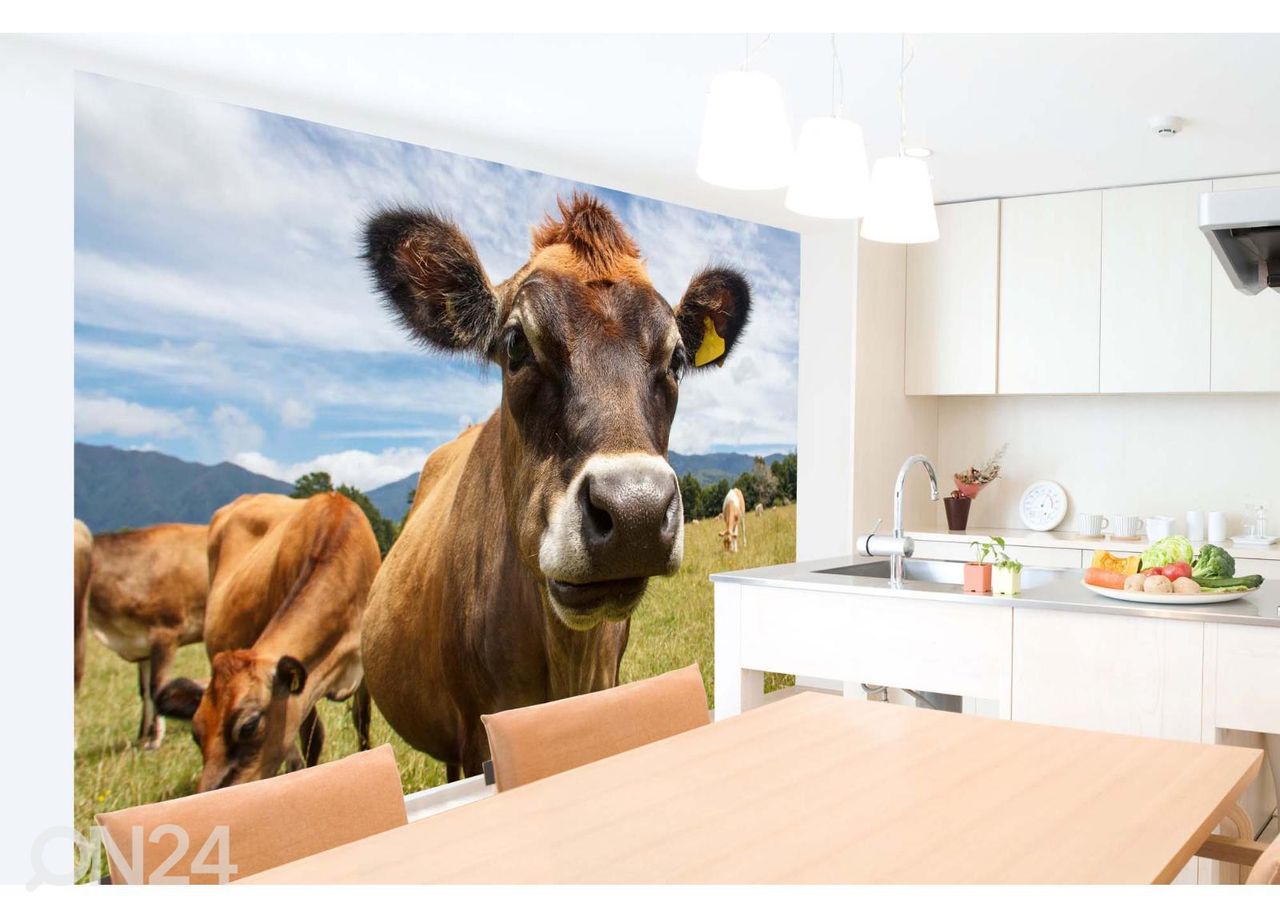 Fliis fototapeet Chewing Cow Looking Surprisingly Straight suurendatud