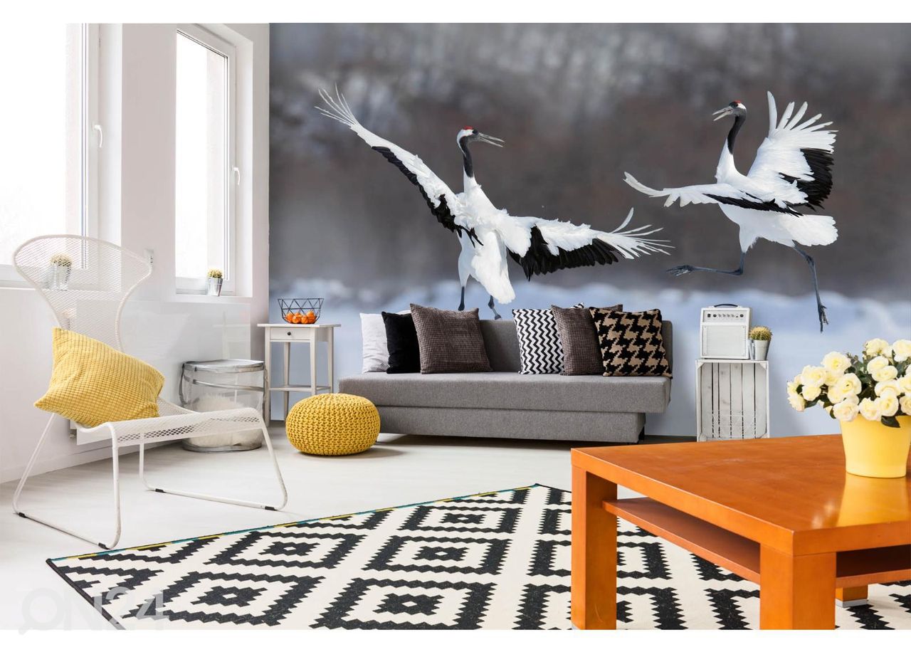 Fliis fototapeet Dancing Pair Of Red-crowned Crane suurendatud