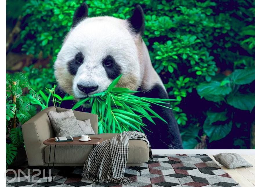 Fliis fototapeet Giant Panda 368x254 cm suurendatud