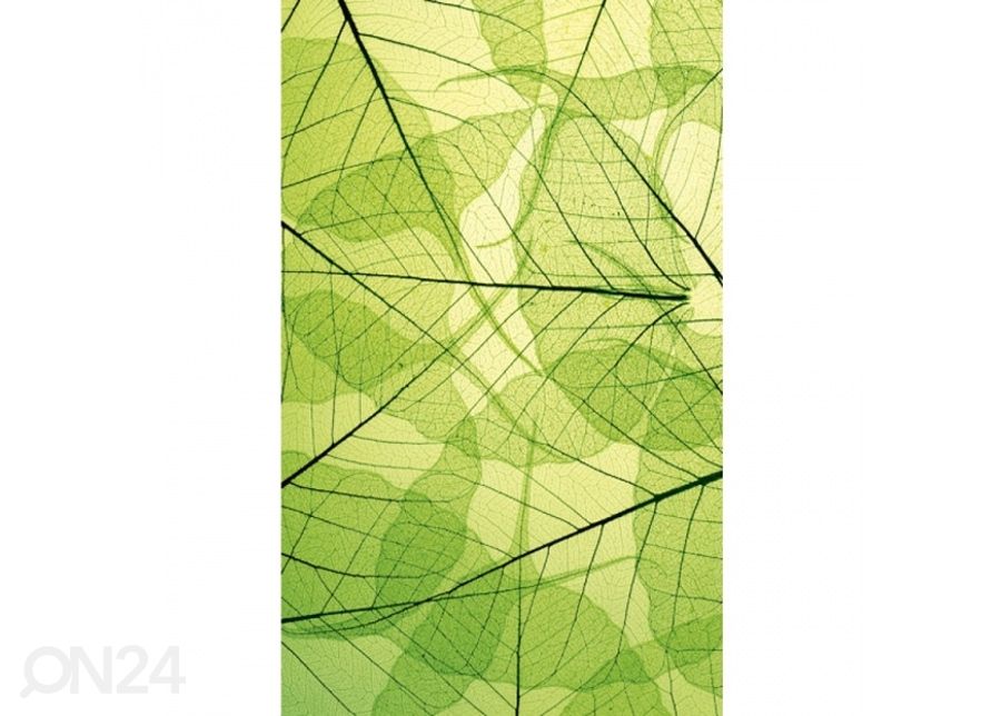 Fliis fototapeet Leaf veins 150x250 cm suurendatud