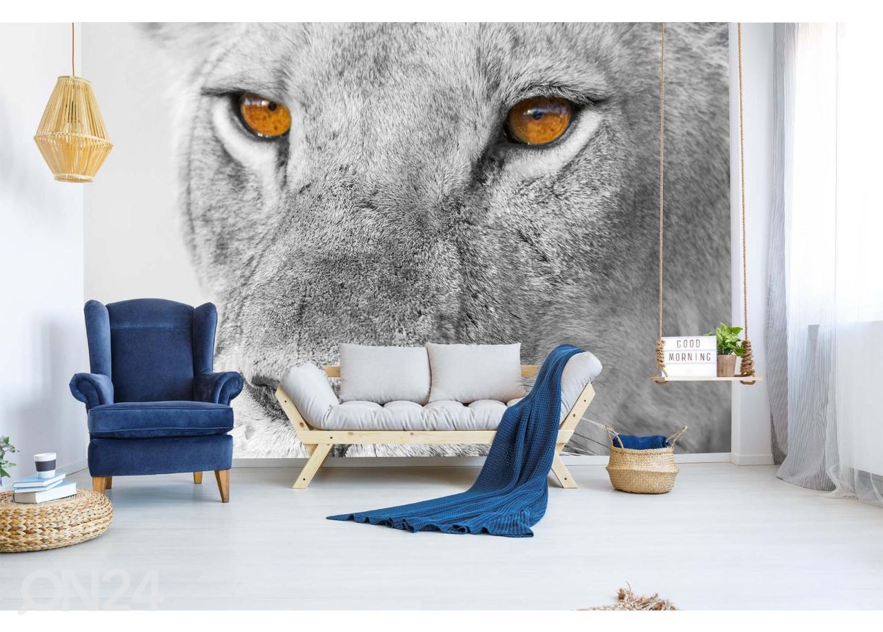 Fliis fototapeet Panthera Leo suurendatud