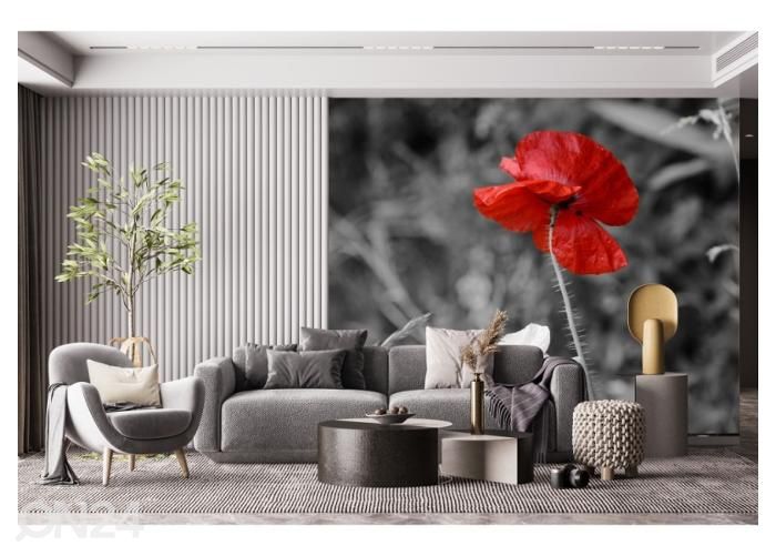 Fliis fototapeet Poppies 416x290 cm suurendatud