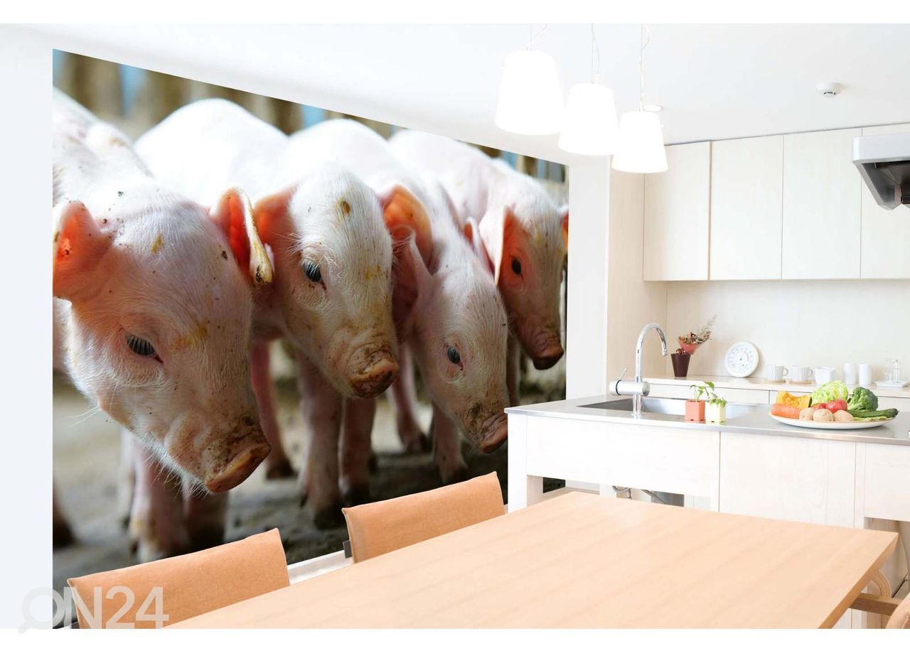 Fliis fototapeet Small Pigs In The Farm suurendatud