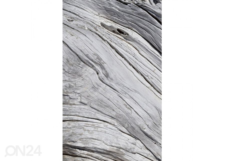 Fliis fototapeet Tree texture 150x250 cm suurendatud