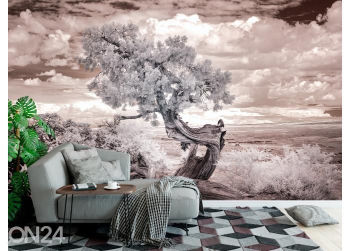Fliis fototapeet Twisted Tree in the Desert 368x254 cm suurendatud