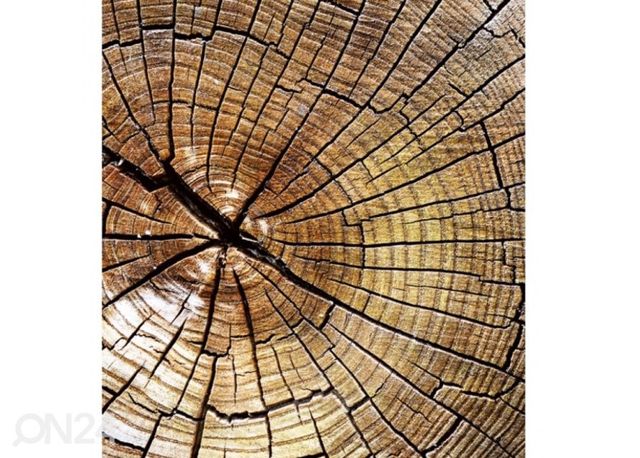 Fliis fototapeet Wood 150x250 cm suurendatud
