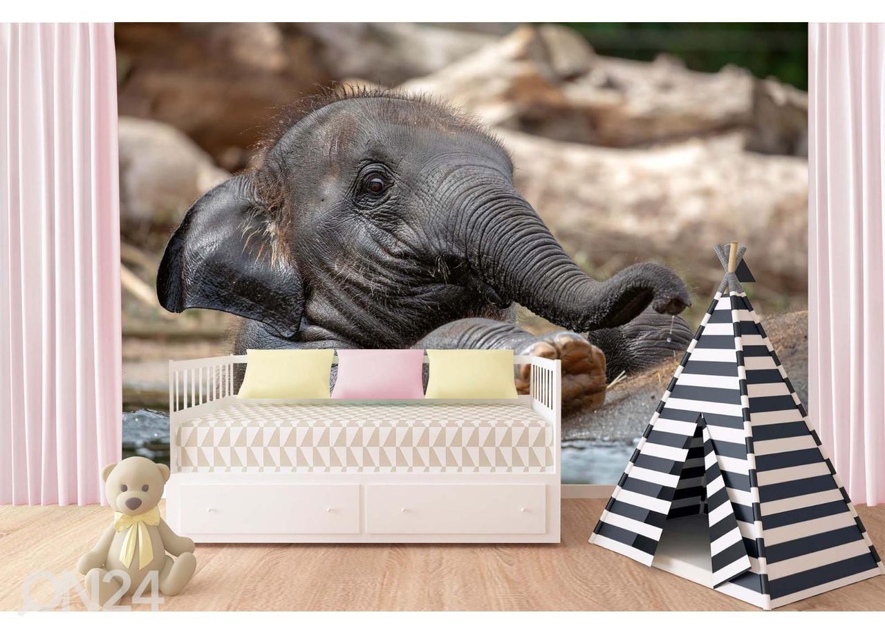 Fliis fototapeet Young Indian Elephant suurendatud
