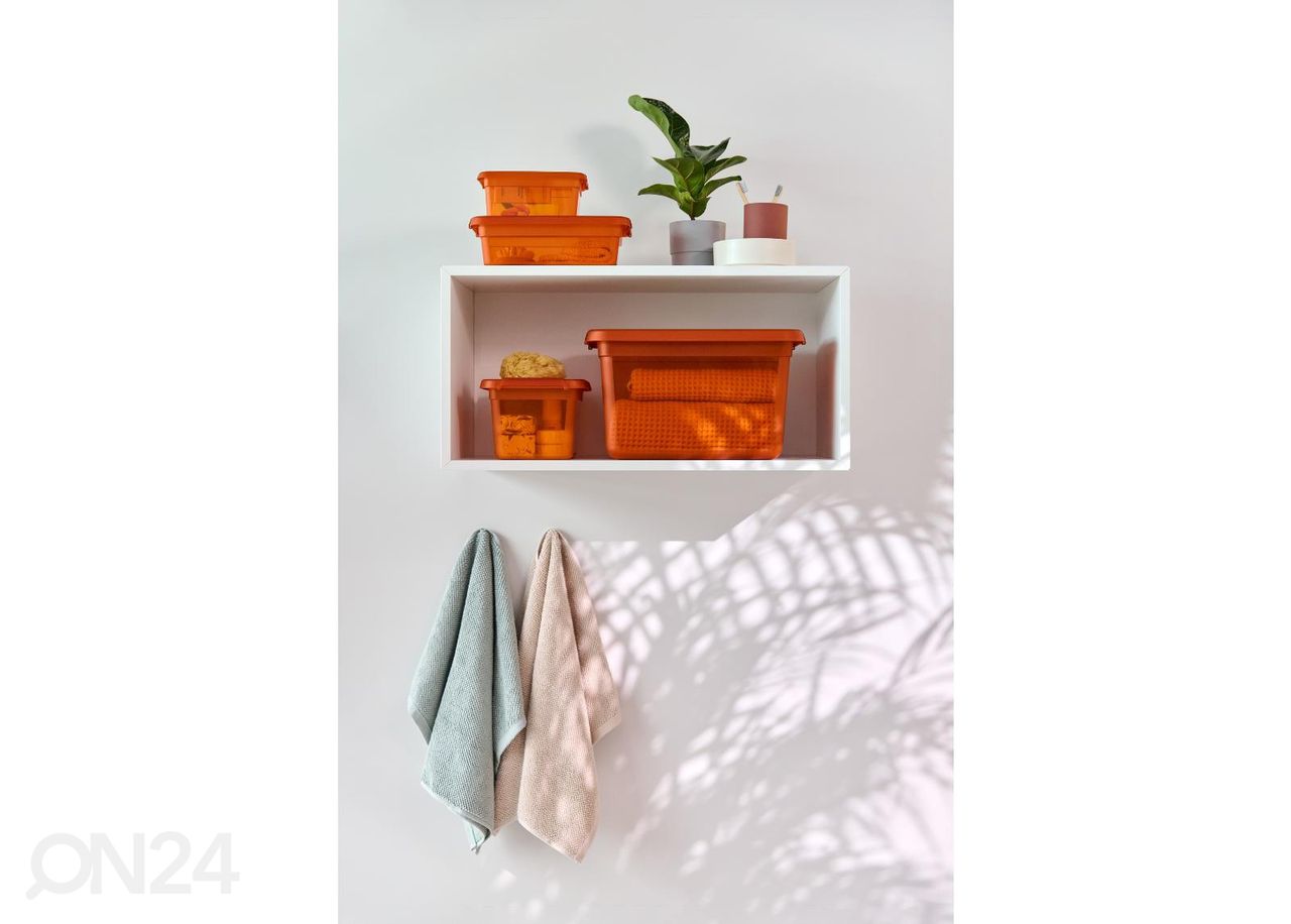 Hoiukast BaseStore 1,5 L, 14x19xh9 cm oranž suurendatud