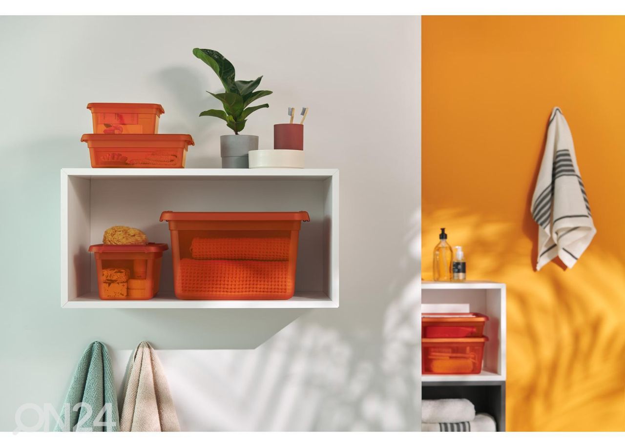 Hoiukast BaseStore 1,5 L, 14x19xh9 cm oranž suurendatud