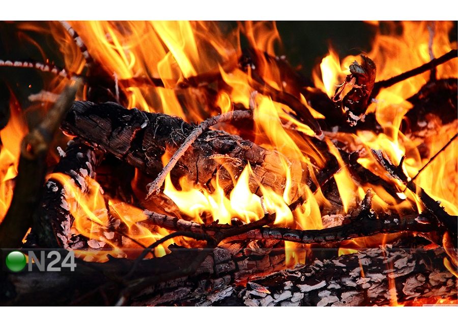 Infrapuna küttepaneel pildiga PE-Plus 1000 W suurendatud