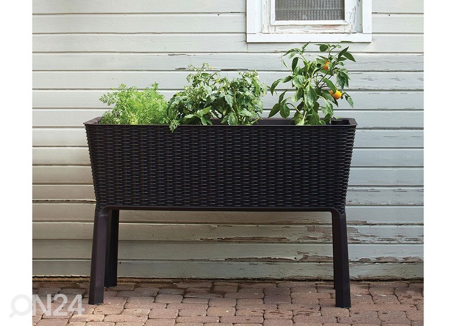 Istutuskast Keter Easy Grow 114x49x76 cm, antratsiit suurendatud