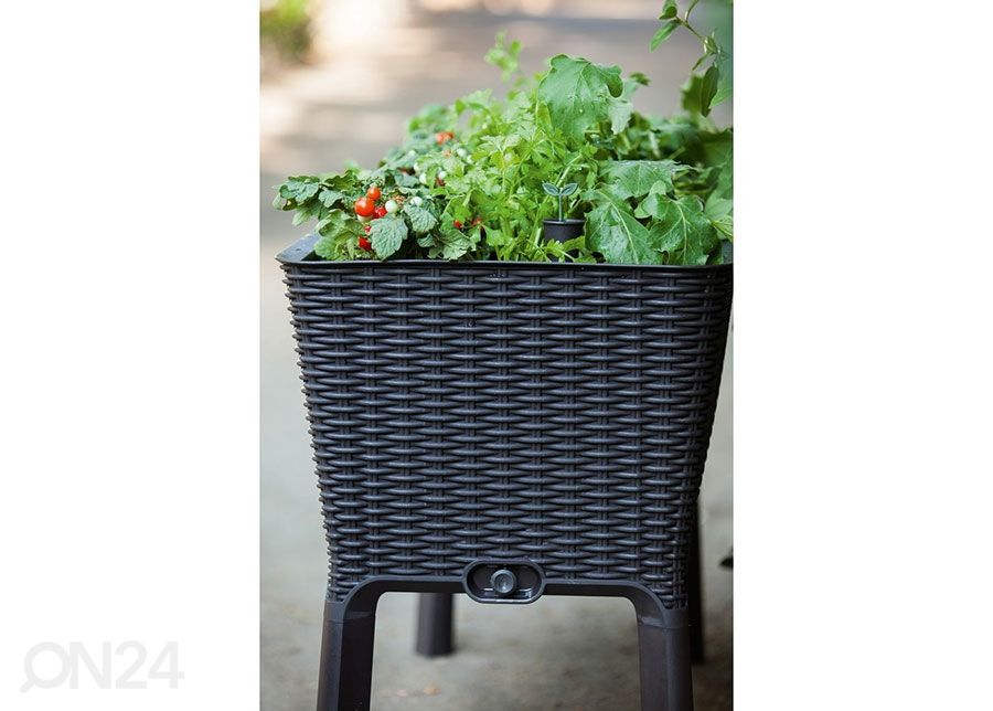 Istutuskast Keter Easy Grow 114x49x76 cm, antratsiit suurendatud