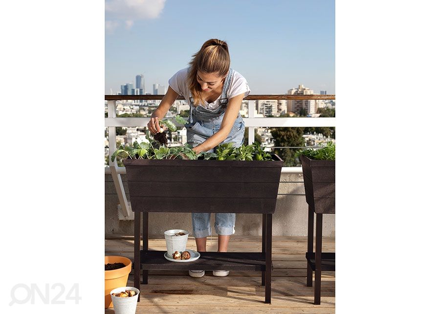 Istutuskast Keter Urban Bloomer 82x37x78 cm, pruun suurendatud