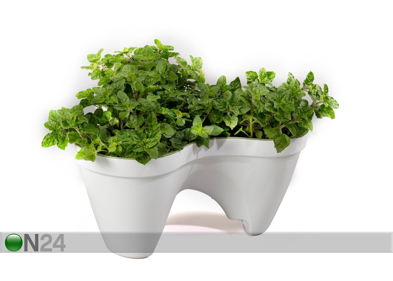 Istutuspott Keter Ivy Planter suurendatud