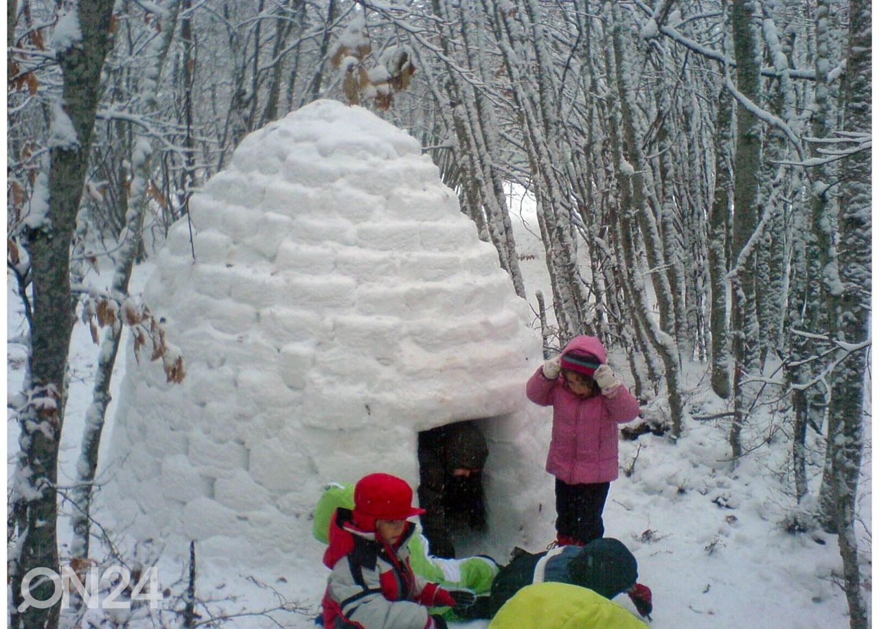 Jäätelliste valmistaja Igloo Maker suurendatud