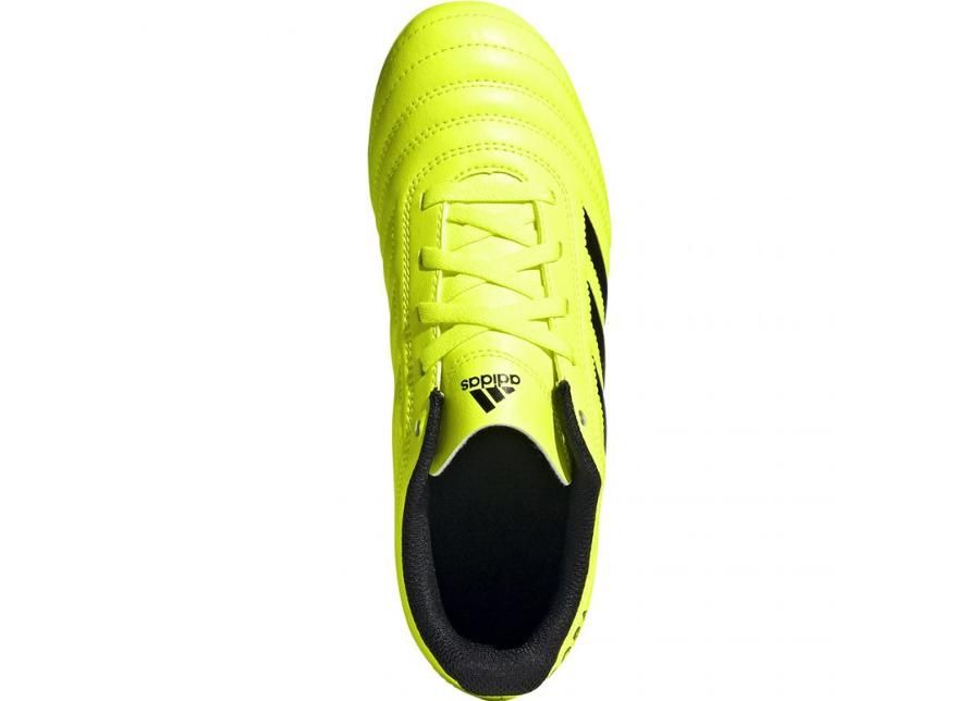 Jalgpallijalatsid lastele muru adidas Copa 19.4 FG JR F35461 suurendatud