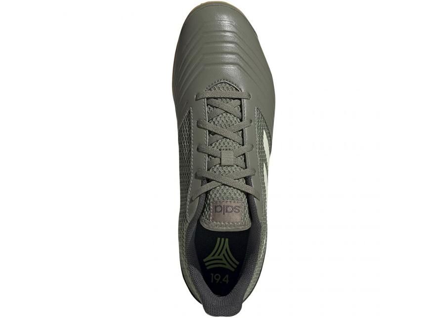 Jalgpallijalatsid saali meestele M adidas Predator 19.4 IN EF8216 suurendatud