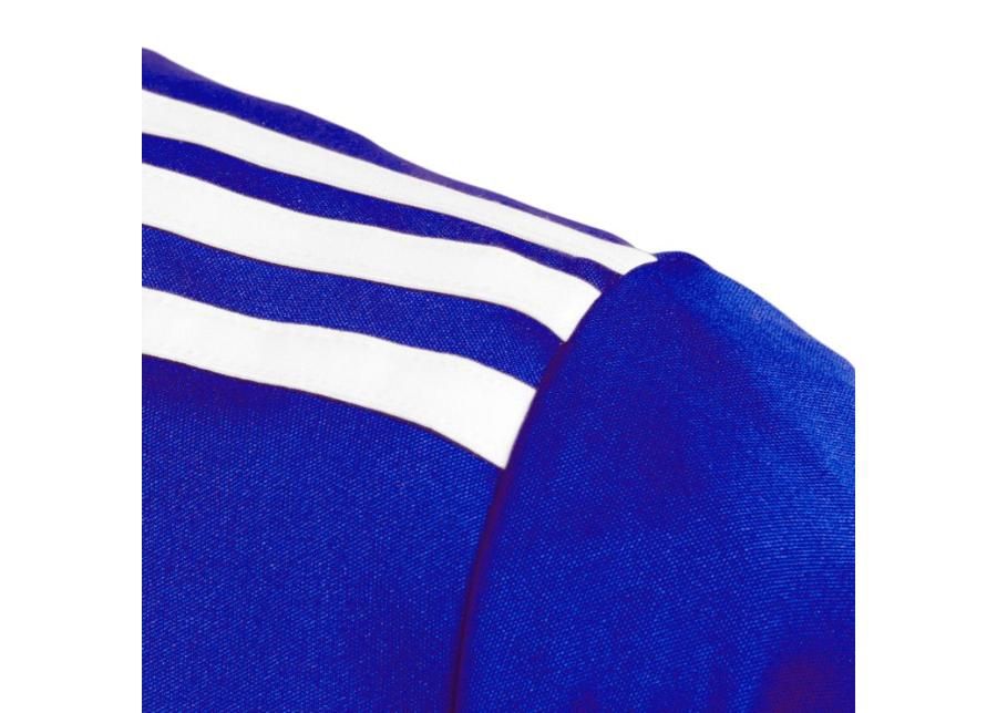 Jalgpallisärk lastele adidas Entrada 18 Jr CF1049 suurendatud