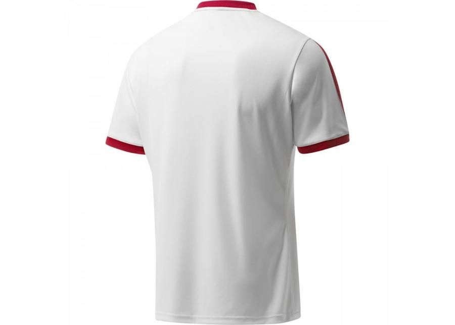 Jalgpallisärk lastele adidas Tabela 14 Junior F50273 suurendatud
