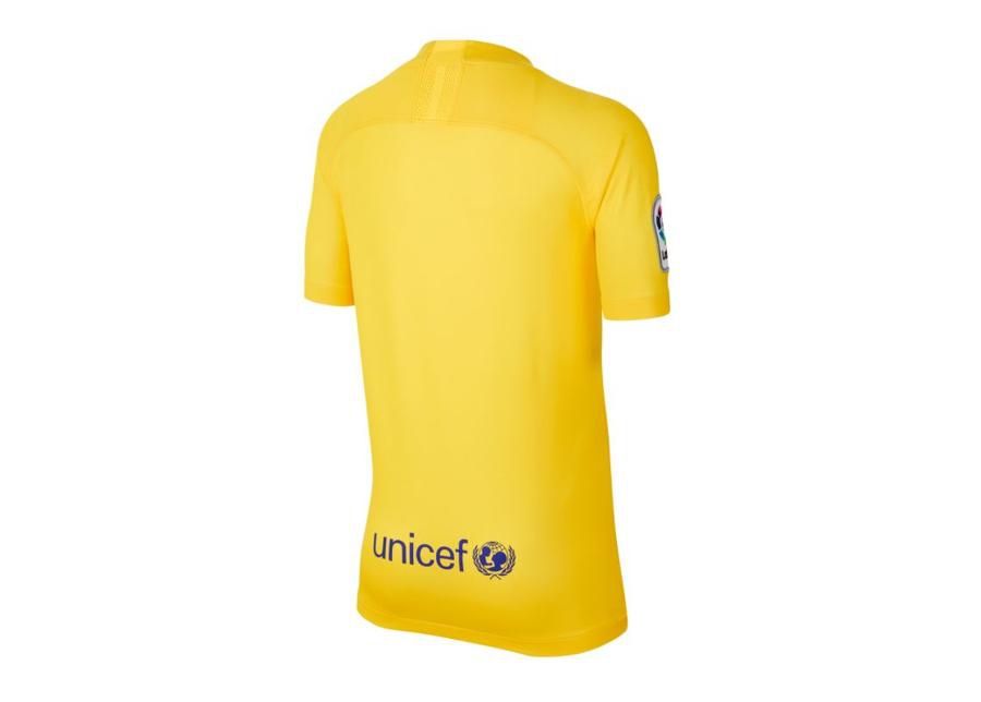 Jalgpallisärk lastele Nike JR FC Barcelona Stadium Jr CT2526-727 suurendatud