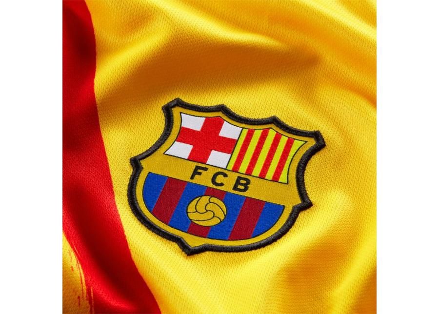Jalgpallisärk meestele Nike FC Barcelona Breathe Stadium M CT2527-727 suurendatud