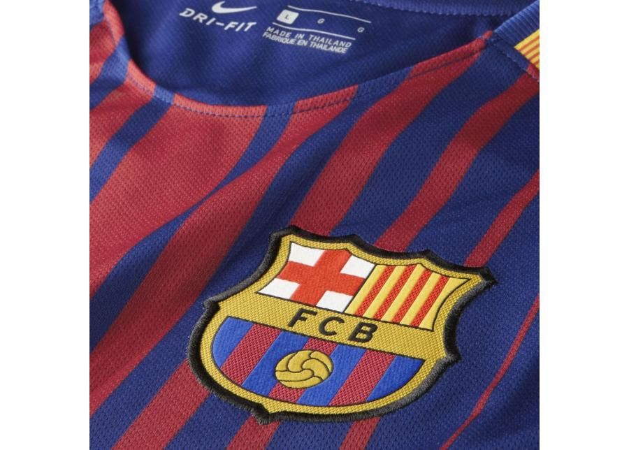 Jalgpallisärk meestele Nike FC Barcelona Stadium Jersey M 847255-456 suurendatud