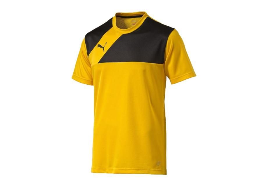 Jalgpallisärk meestele Puma Esquadra Training Jersey M 654379-07 suurendatud