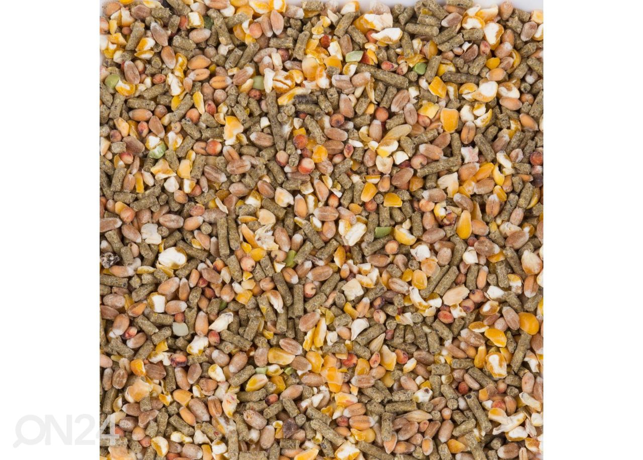 Kanatoit Chix Laying Mix 4 kg suurendatud
