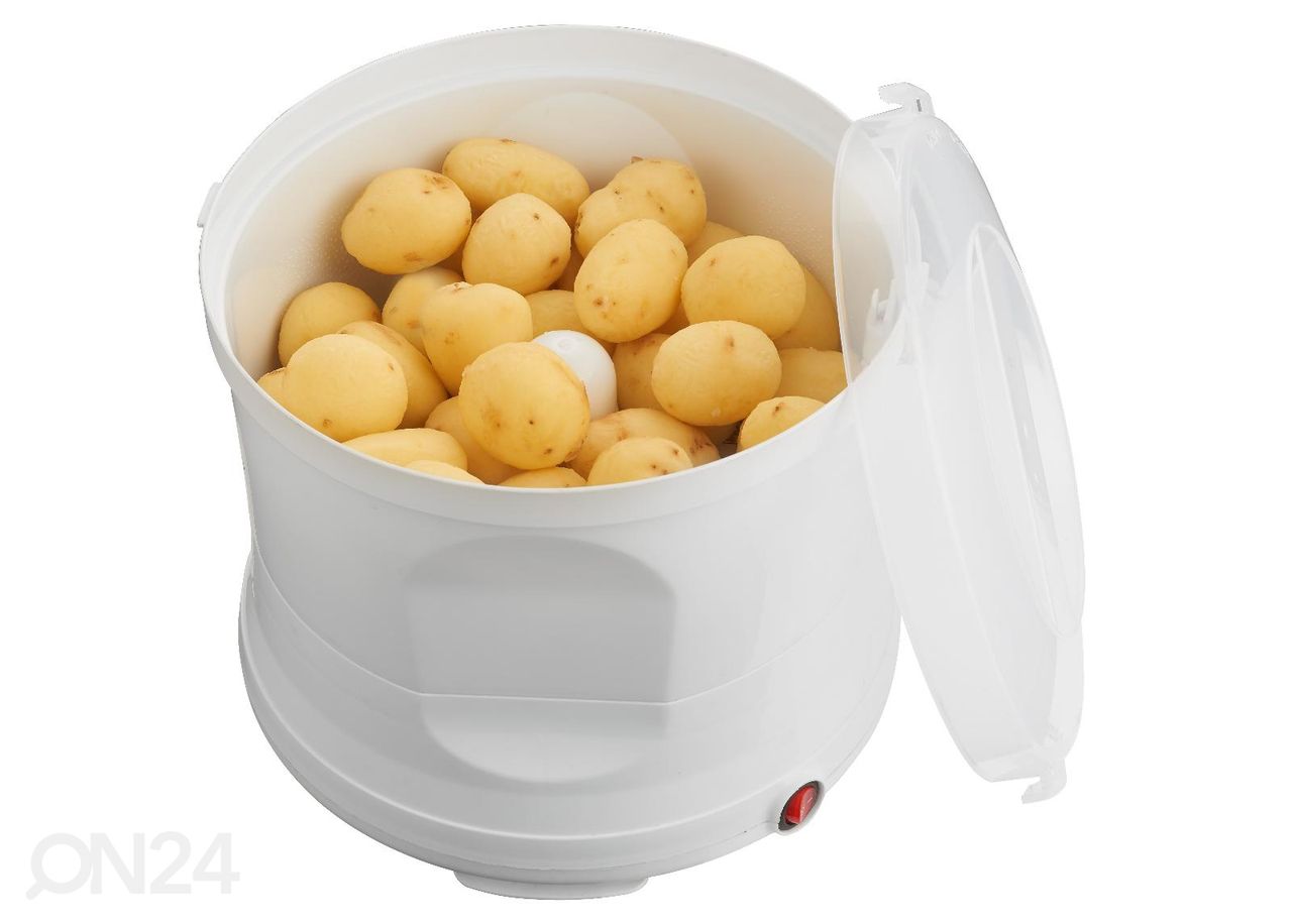 Kartulikoorija Melissa 16220007 suurendatud