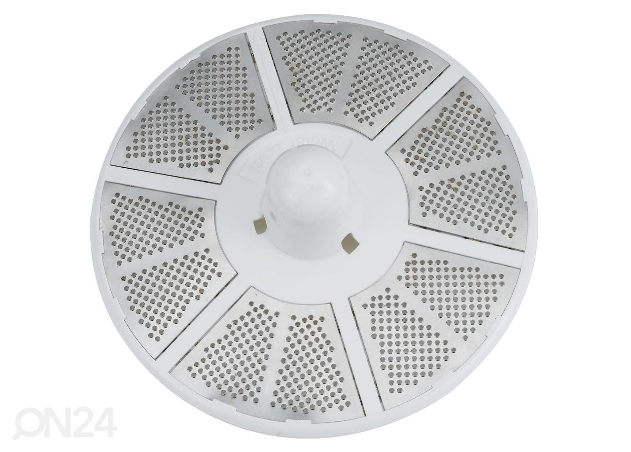 Kartulikoorija Melissa 16220007 suurendatud