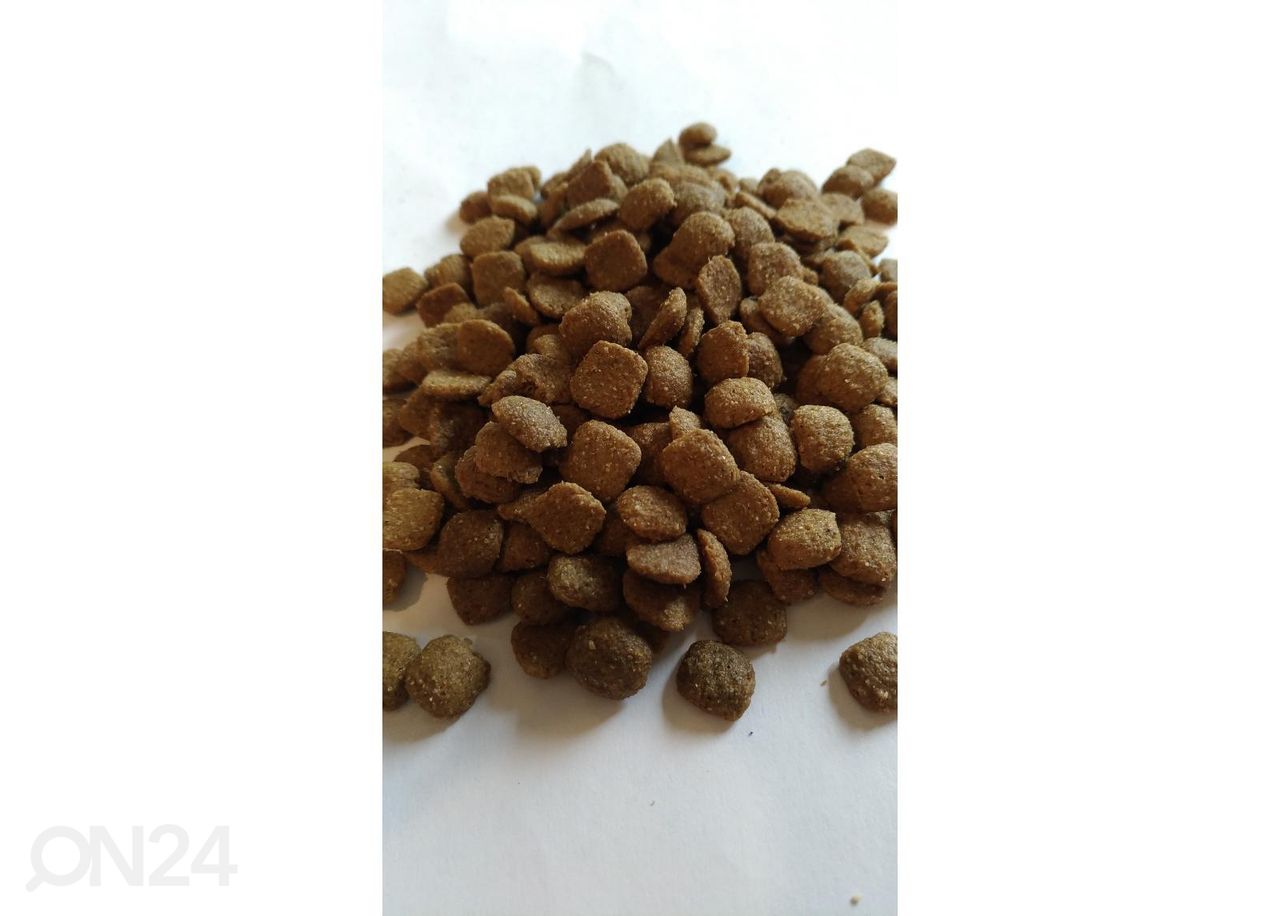 Kassitoit Katz Menu Housecat 2 kg suurendatud