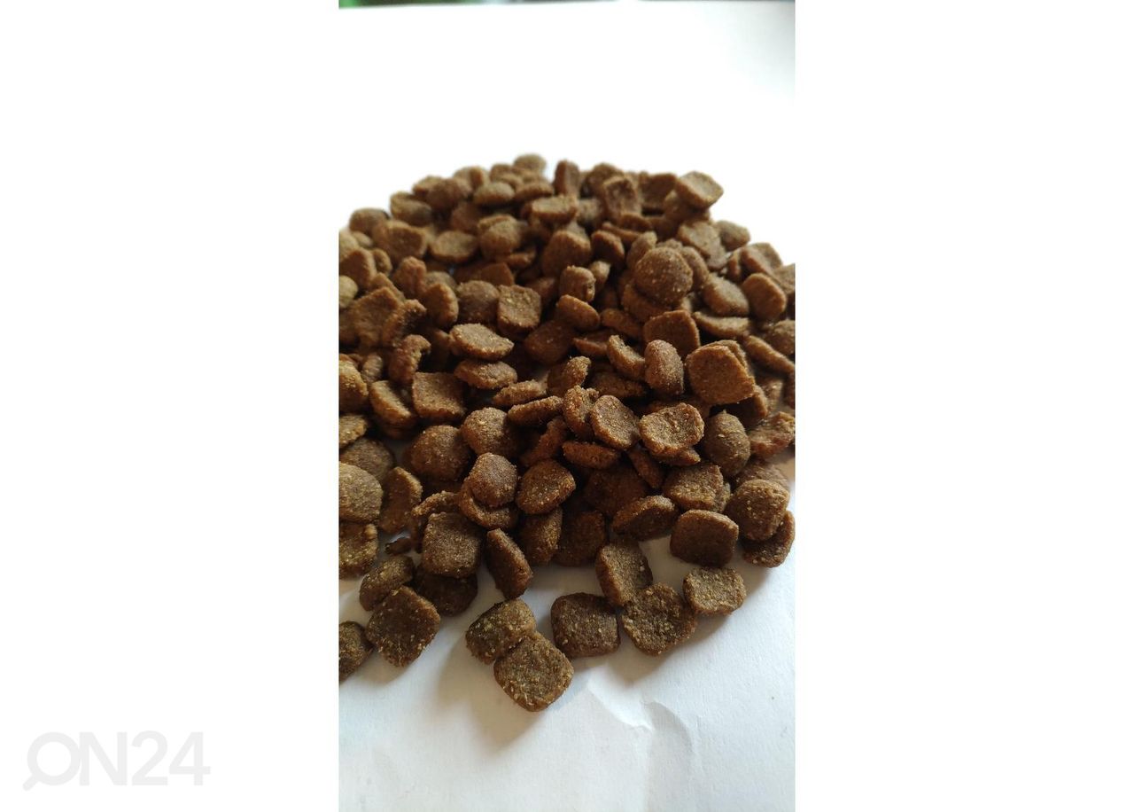 Kassitoit Katz Menu Oldies 2 kg suurendatud