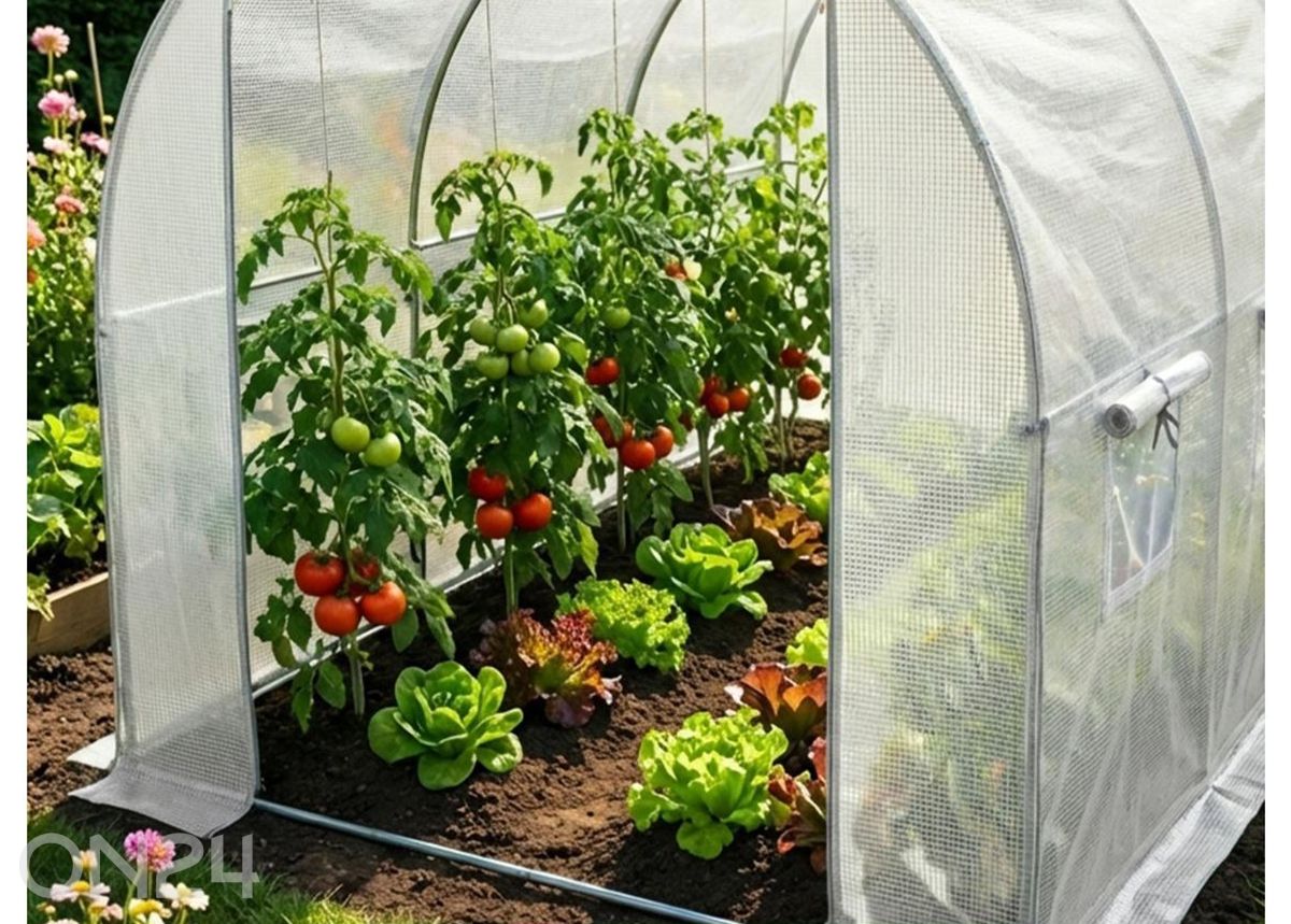 Kilekasvuhoone 6 m² suurendatud