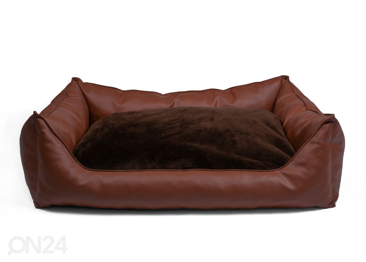 Koeradiivan S1 45x35 cm suurendatud