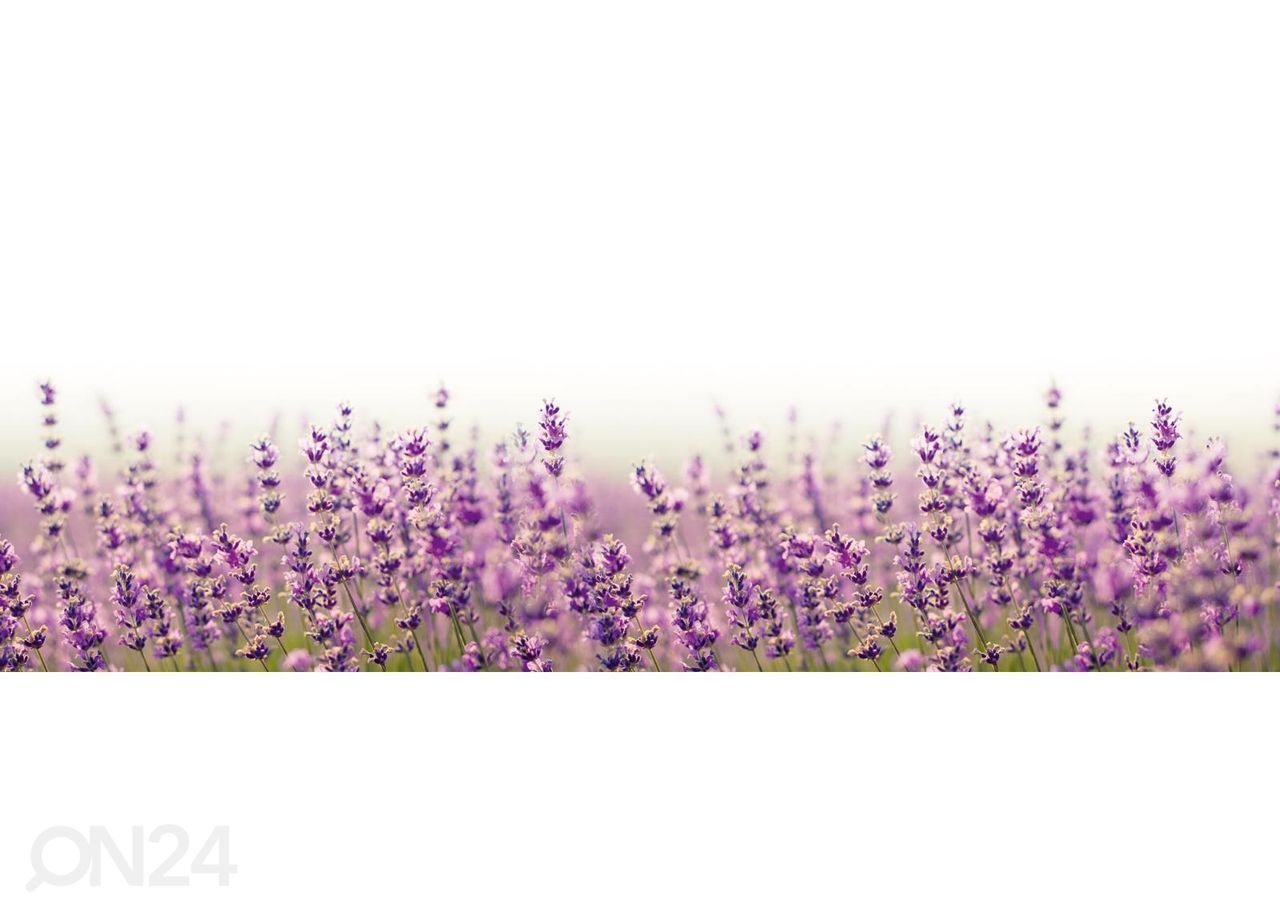 Köögi tagasein Fabulous lavender 180x60 cm suurendatud