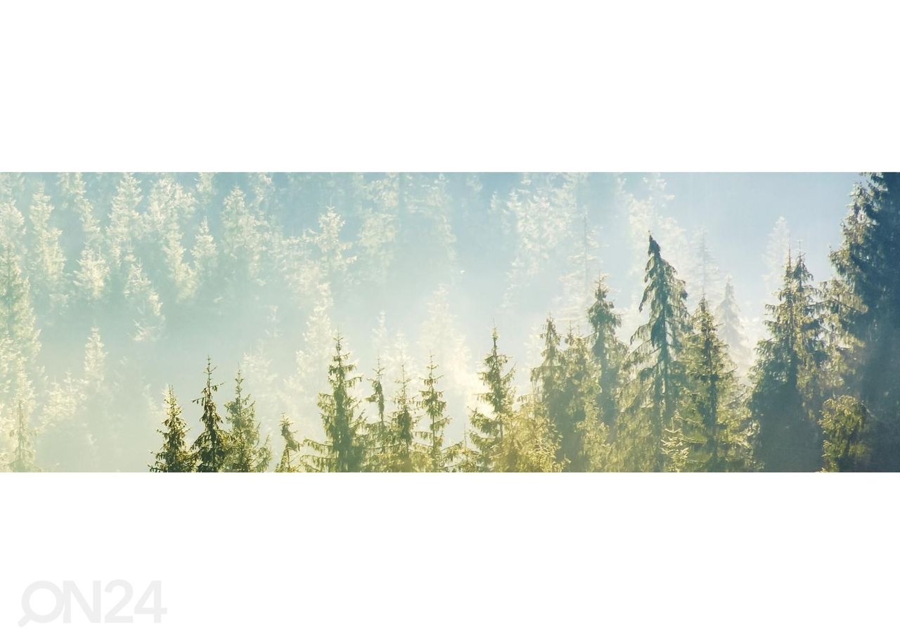 Köögi tagasein Fog above forest 350x60 cm suurendatud