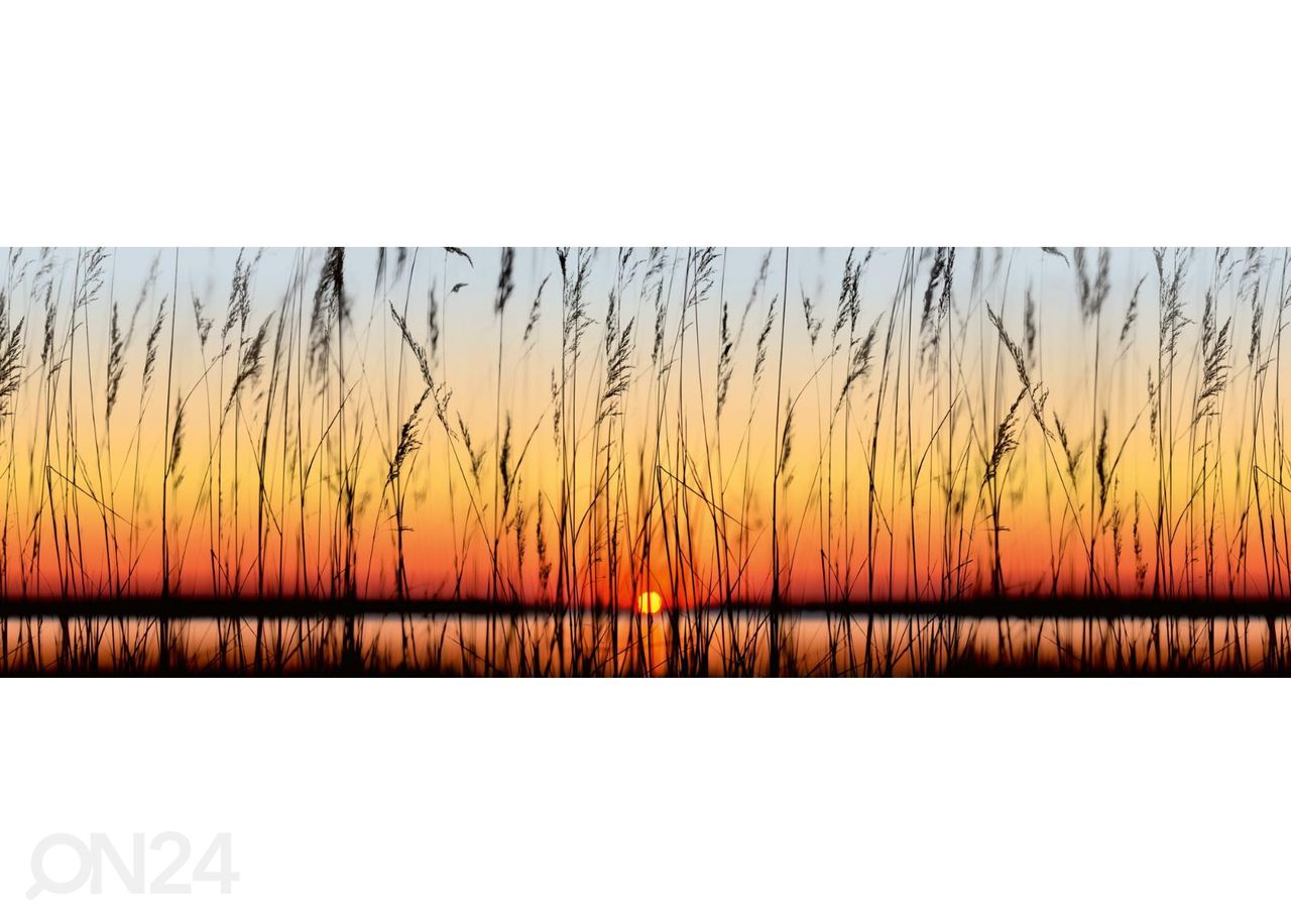 Köögi tagasein Reed 180x60 cm suurendatud