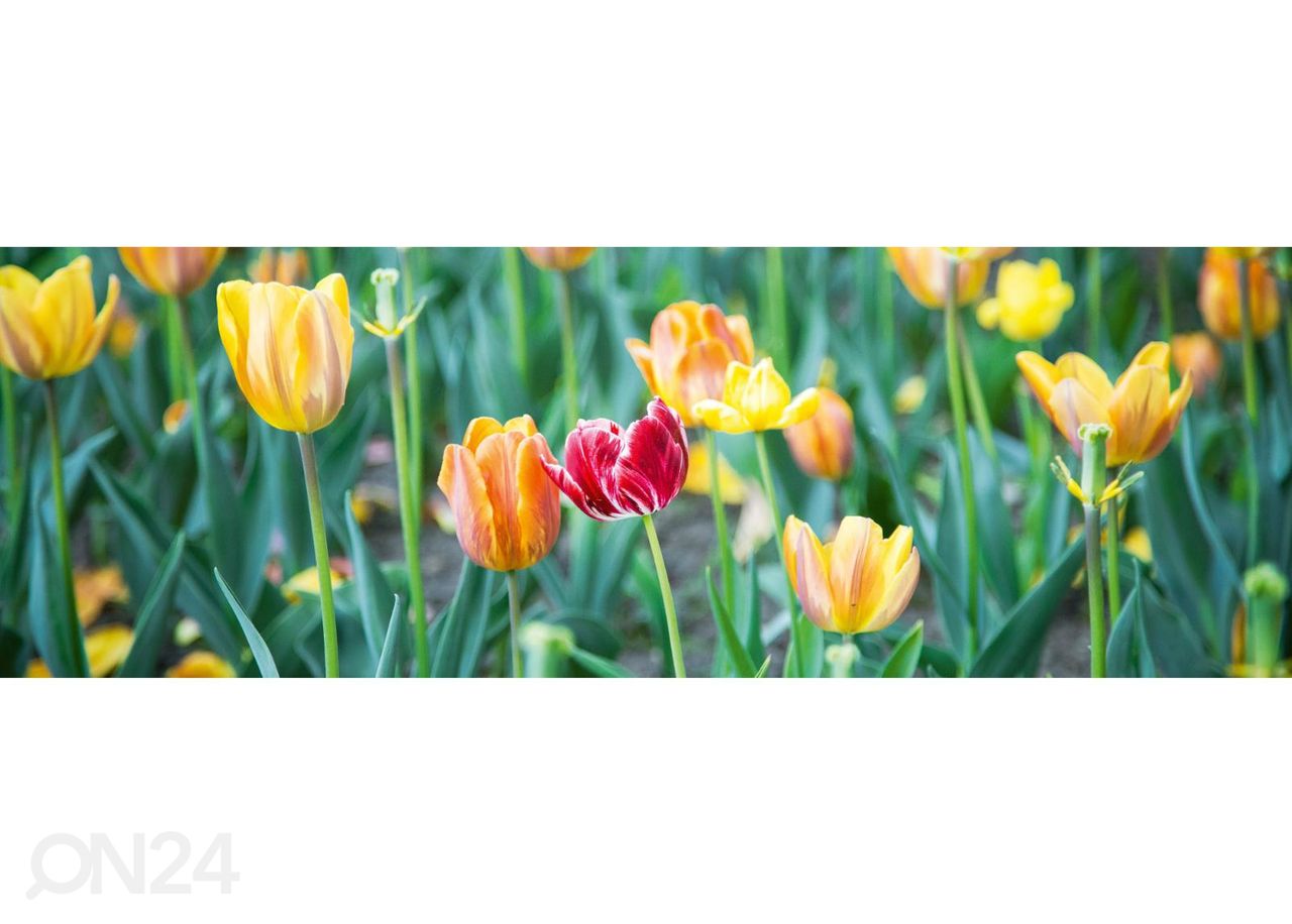 Köögi tagasein Spring flowers 180x60 cm suurendatud