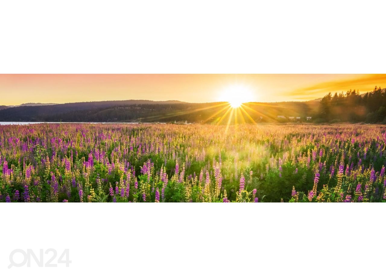Köögi tagasein Sunset over field 180x60 cm suurendatud
