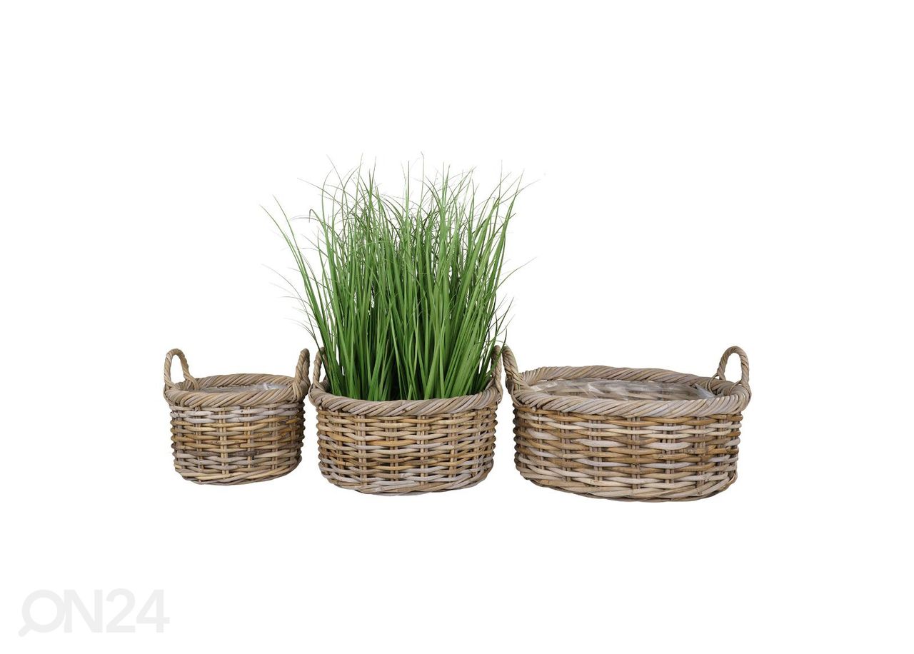 Korvid / lillepotid Bạc Liêu 3 tk suurendatud