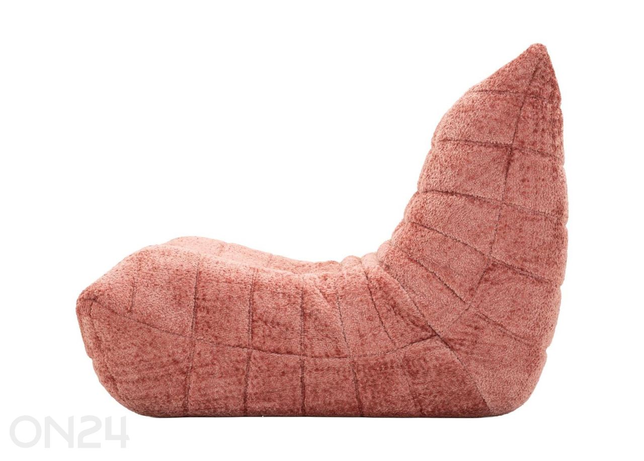 Kott-tool Bianca suurendatud