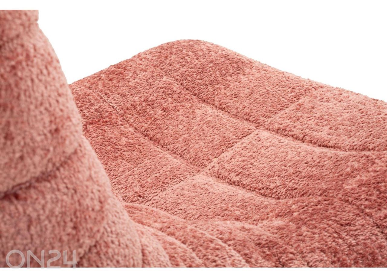 Kott-tool Bianca suurendatud