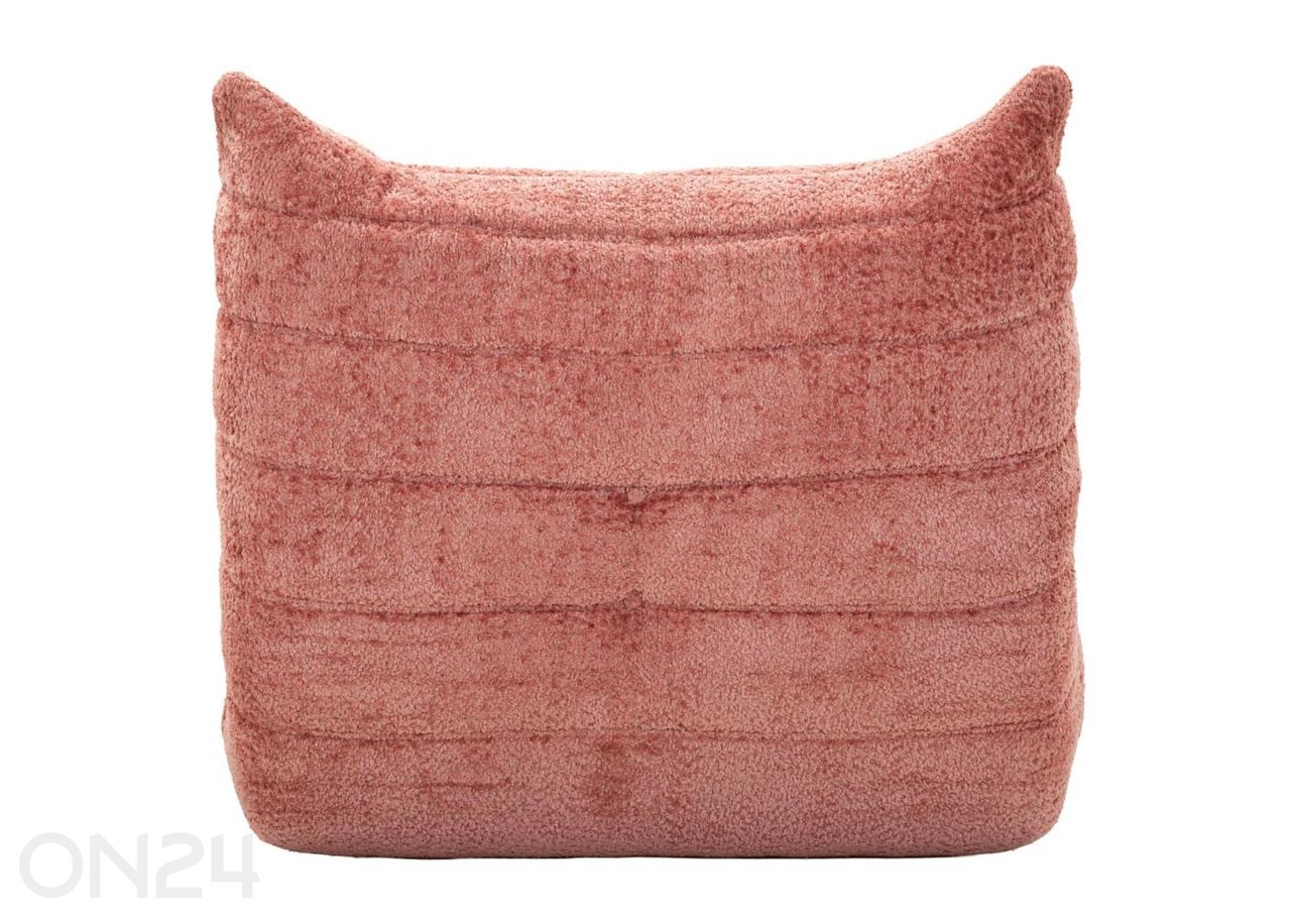 Kott-tool Bianca suurendatud