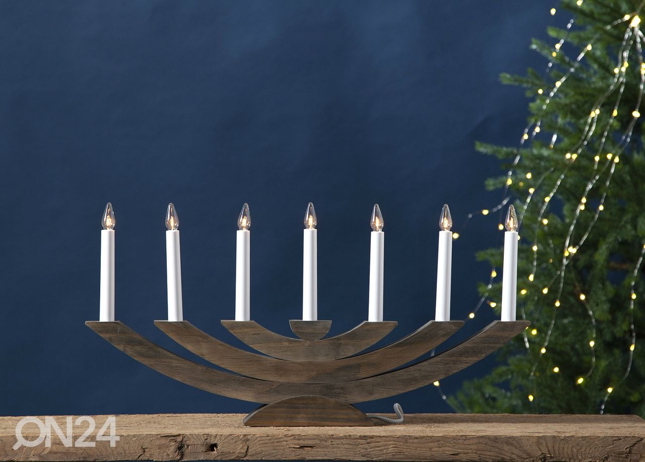 Küünlajalg Navida suurendatud