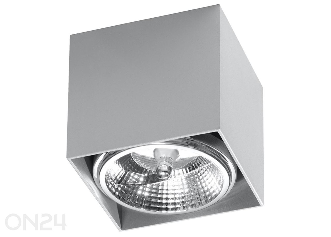 Laelamp Blake suurendatud