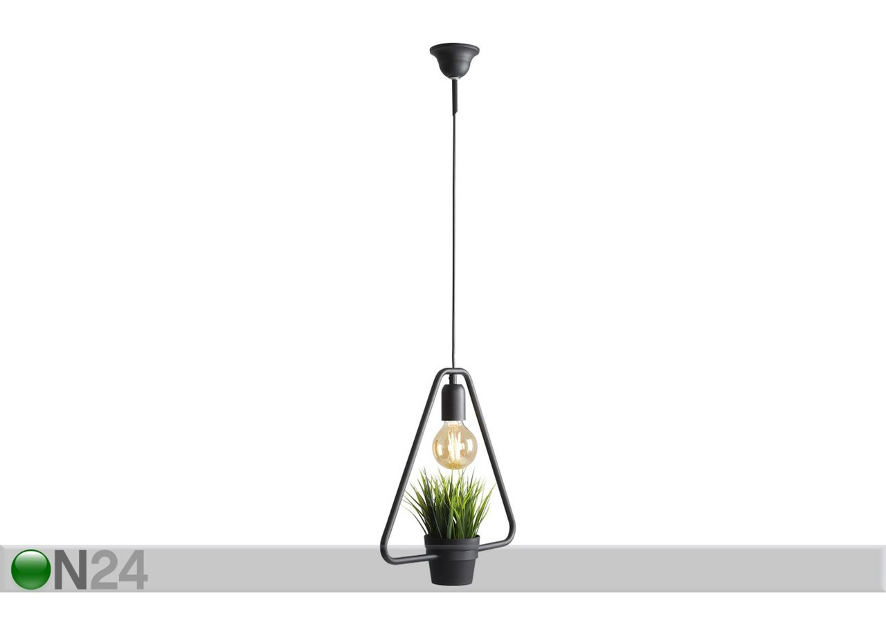 Laelamp Eko Green suurendatud